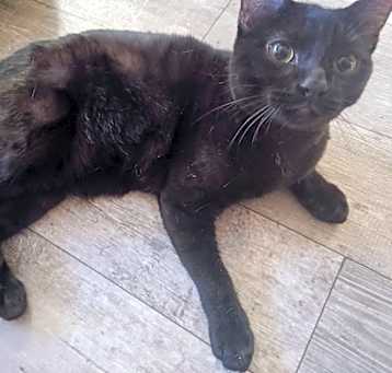 Photo of Jiji