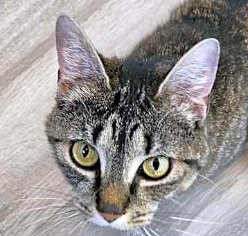 Photo of Squeak