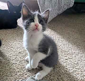 Photo of Tootsie