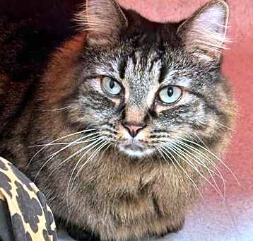Photo of MAGGIE MAY