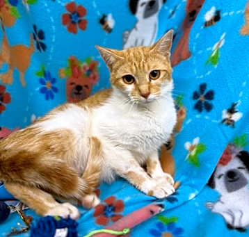 Photo of Sheila