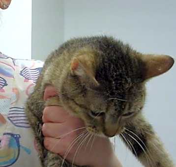Photo of Geraldine