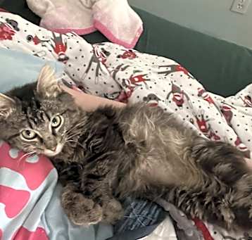Photo of Toby