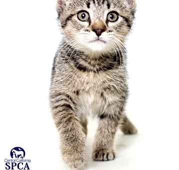 Photo of Maribel