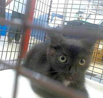 Photo of LUNA