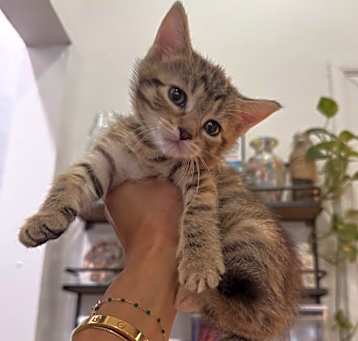 Photo of Clementine