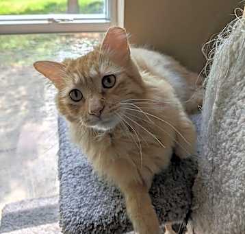 Photo of Gambit