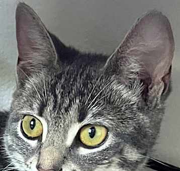 Photo of Penelope