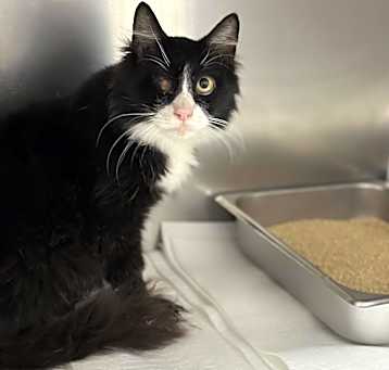 Photo of Marlowe