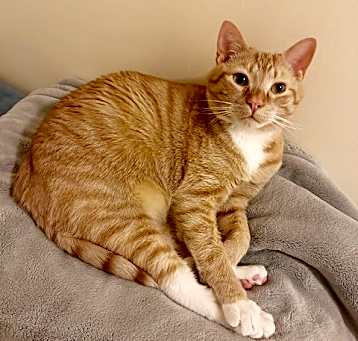 Photo of Phoenix