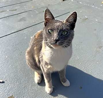 Photo of Susie Q