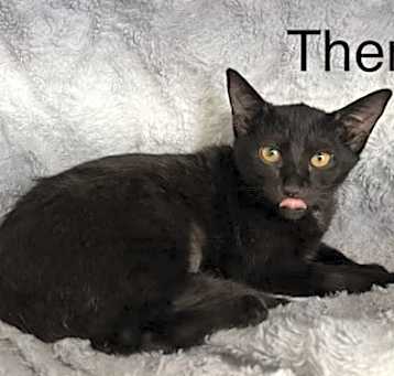 Photo of Theron