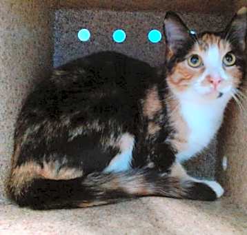 Photo of PRINCESS