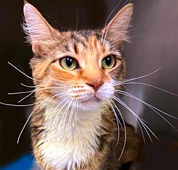 Photo of Lila