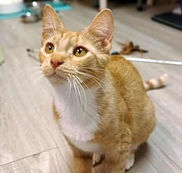 Photo of Boop