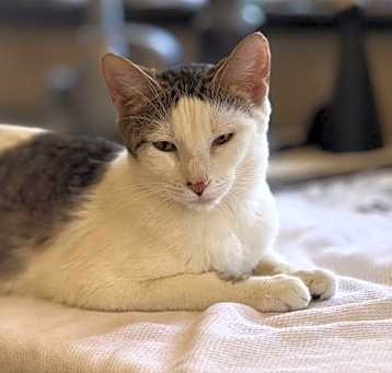 Photo of Patty