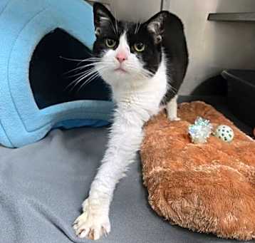 Photo of Mooki