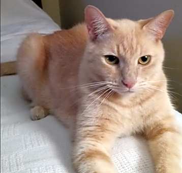 Photo of Sir Polo