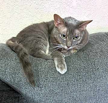 Photo of Skye