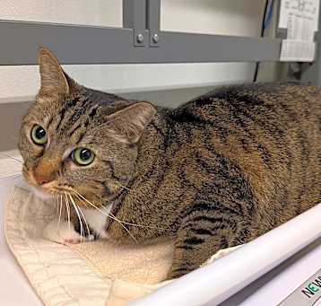 Photo of ABBY