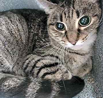 Photo of Princess