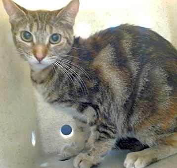 Photo of LILLY