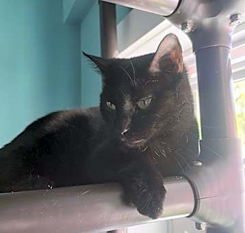 Photo of Rumble