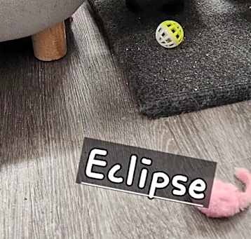 Photo of Eclipse