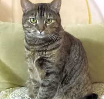 Photo of Luna