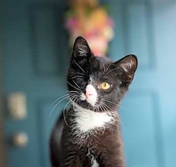 Photo of Zebedee