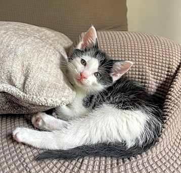 Photo of Cassian