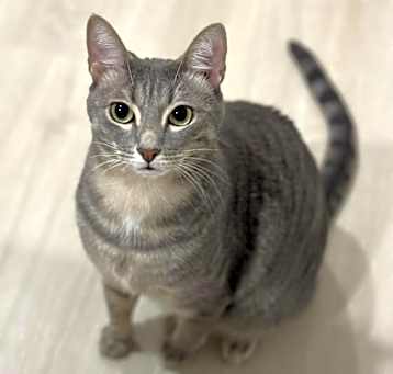 Photo of Nisha