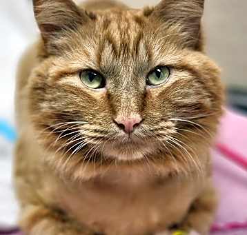 Photo of Spice