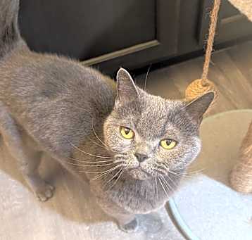 Photo of Luna