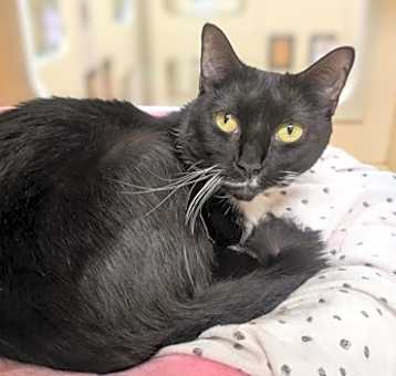 Photo of Mabel~24/25-0311