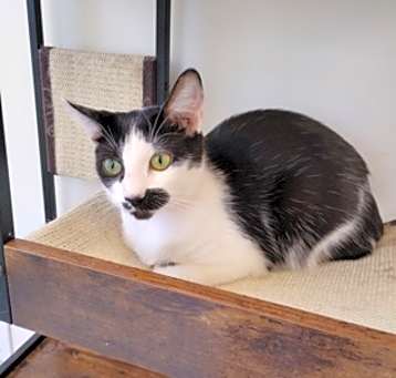 Photo of Daisy