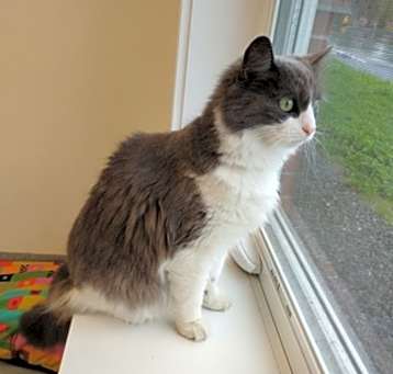 Photo of Sally