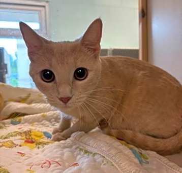 Photo of Penny