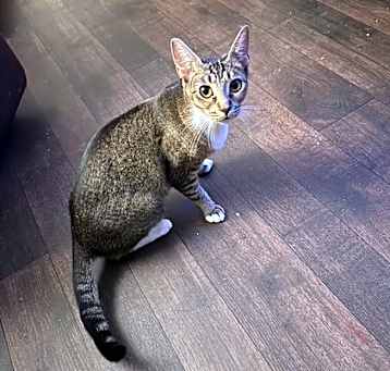 Photo of Kiki