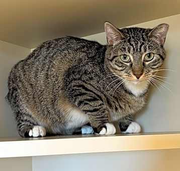 Photo of Abby