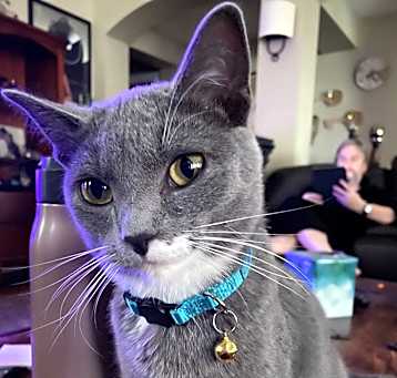 Photo of Mashi