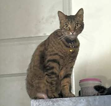 Photo of Nora