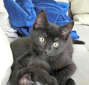 Photo of Jelly