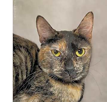 Photo of Wilma