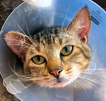 Photo of Sunny