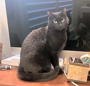 Photo of Sabrina