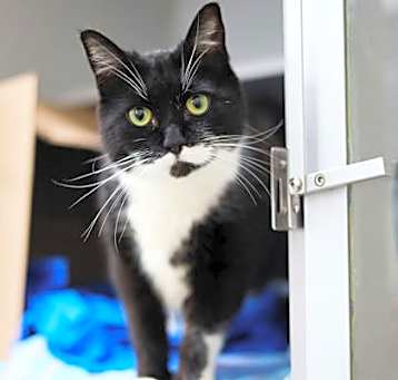 Photo of Oliver
