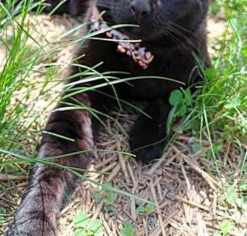 Photo of Mr. Baby
