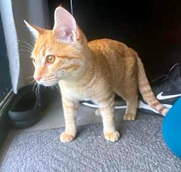Photo of Simon