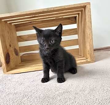 Photo of Thursday
